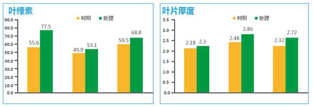 領(lǐng)先生物“海藻+氮磷鉀+腐植酸”讓果樹旺起來(lái)